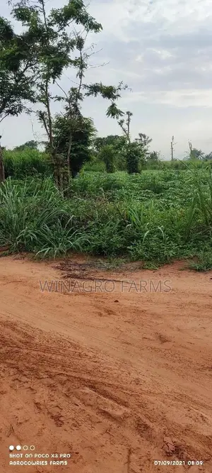 For Sale;Land Specially for Agriculture in Ogun