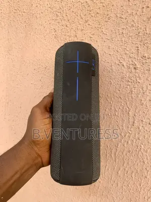 Ultimate Ear Speaker