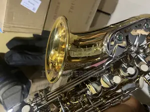 Photo - Quality Selmer Alto Saxophone Available in Different Colors