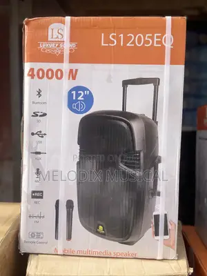 Luxury Sound 12” Public Address System