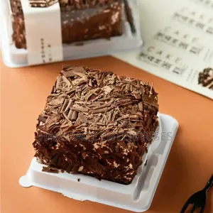 Cake Box With Fork Mousse Pack 200pces