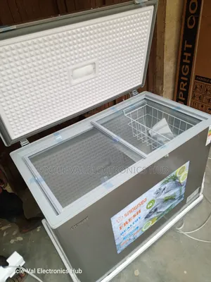 Snowsea Chest Freezer Bd-450g