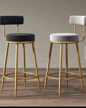 Salon Chair