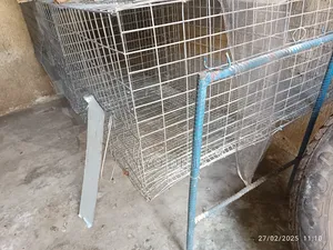 Chicken Cage