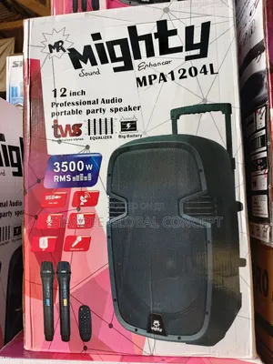 Mr Mighty Mpa 12inch Pa System With Equalizer