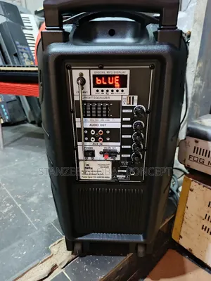 Mr Mighty Mpa 12inch Pa System With Equalizer