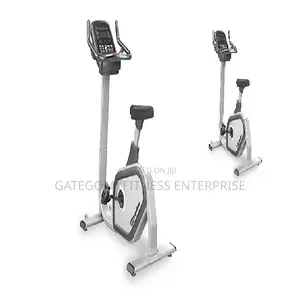 Commercial Upright Bike