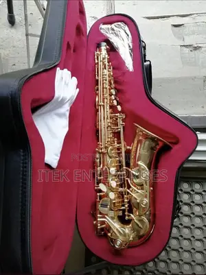 Photo - Dy Alto Saxophone Gold