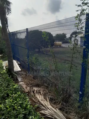 Complex Fencing Seen Through Mesh Wires
