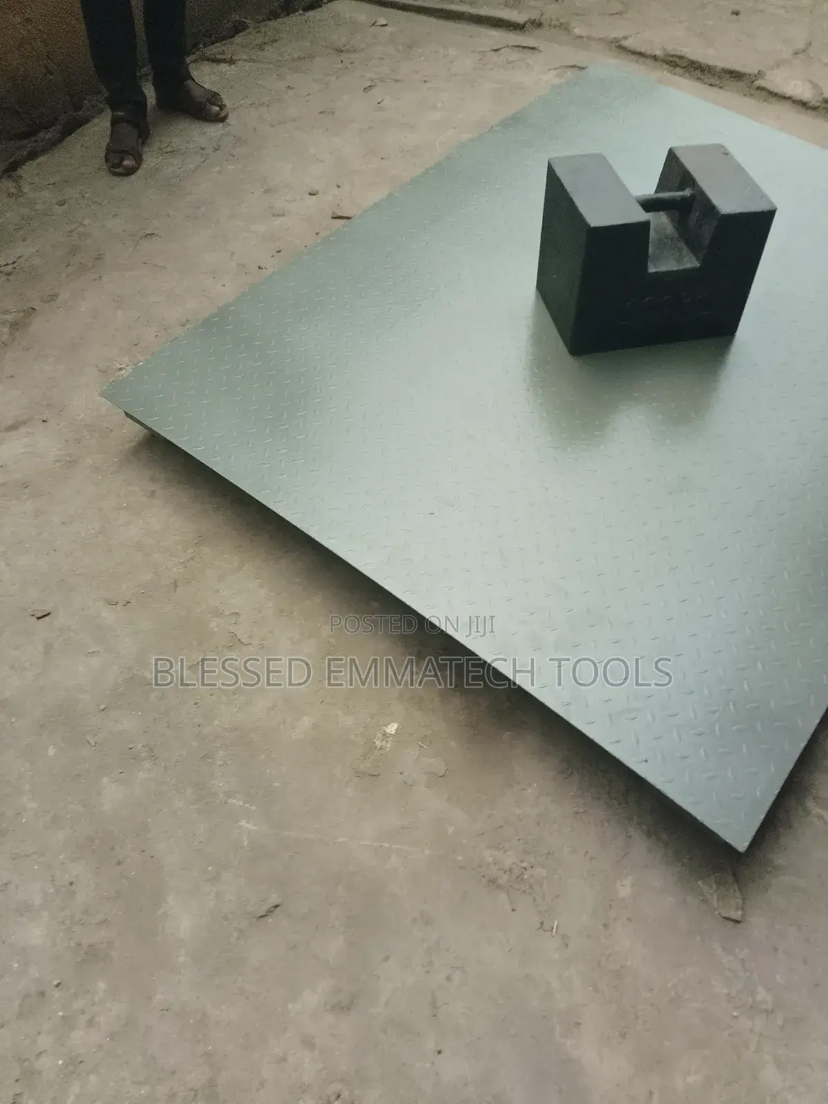 2 Meter A12 Digital Animal Scale