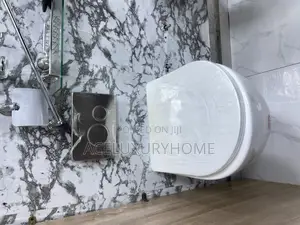 Luxury Concealed Wc