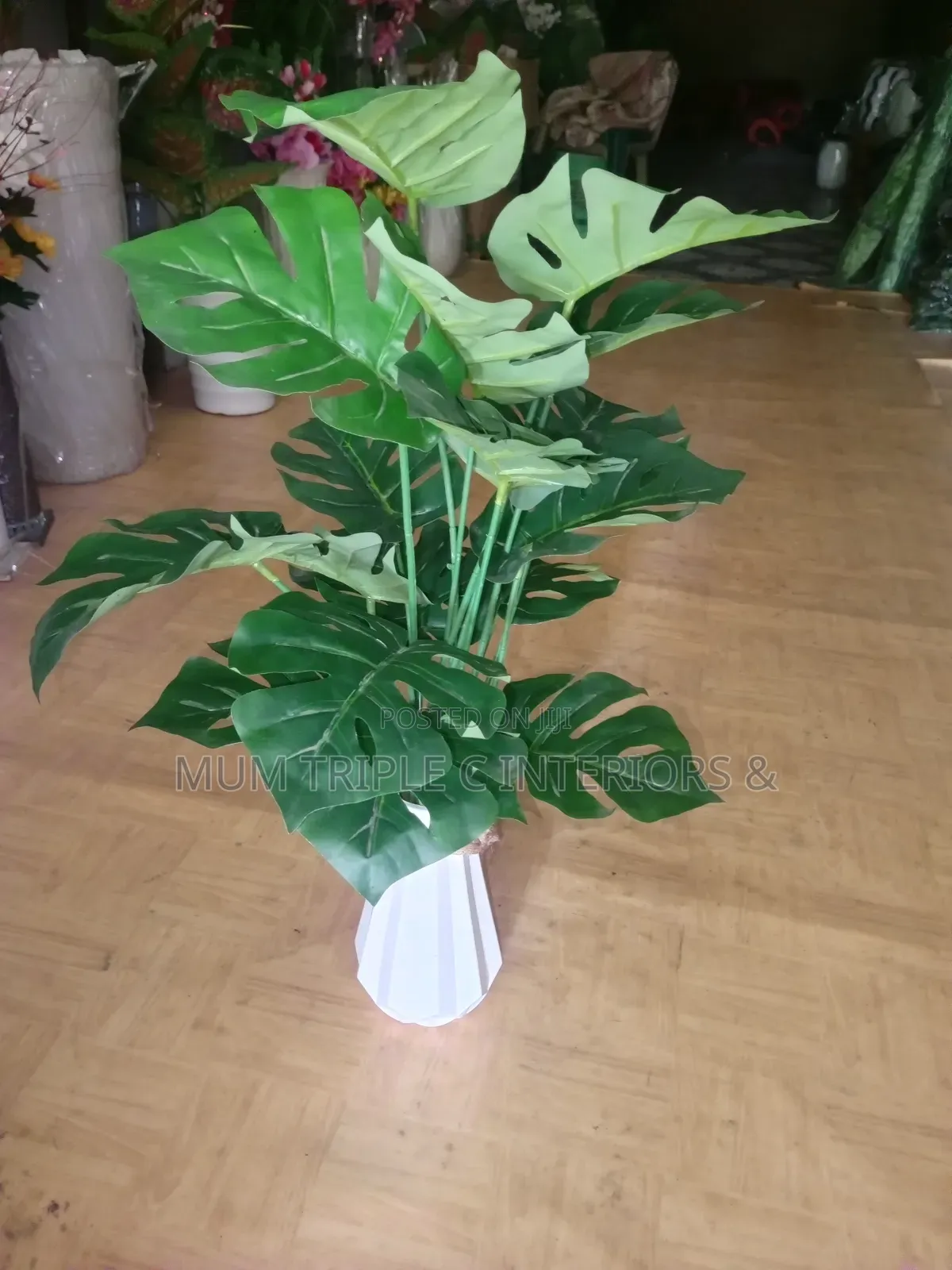 Artificial Plants