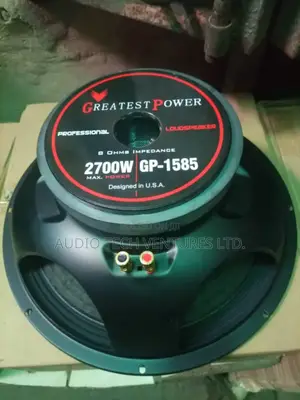 Great Power 15inch Naked Speaker