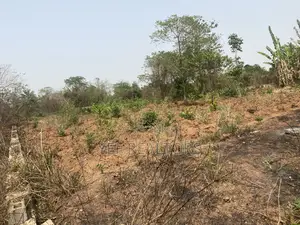 One Acre of Land for Sale at Ibadan Road Ile Ife