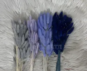 Bunny Tails Dried Flower