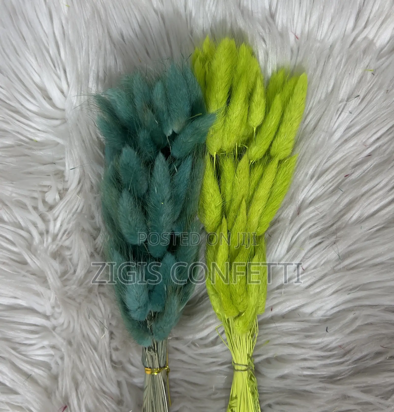 Bunny Tails Dried Flower