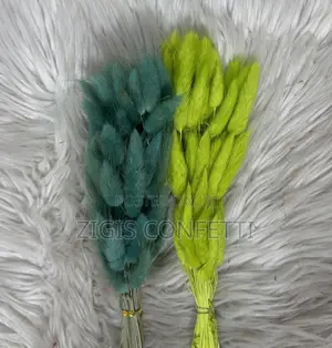 Bunny Tails Dried Flower