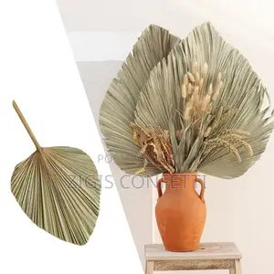 Dried Palm Cut