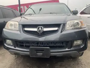 Acura MDX 2006 Gray