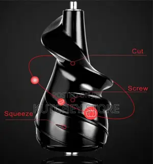 Raylux Cold-Press Slow-Masticating Juicer With Ac Motor