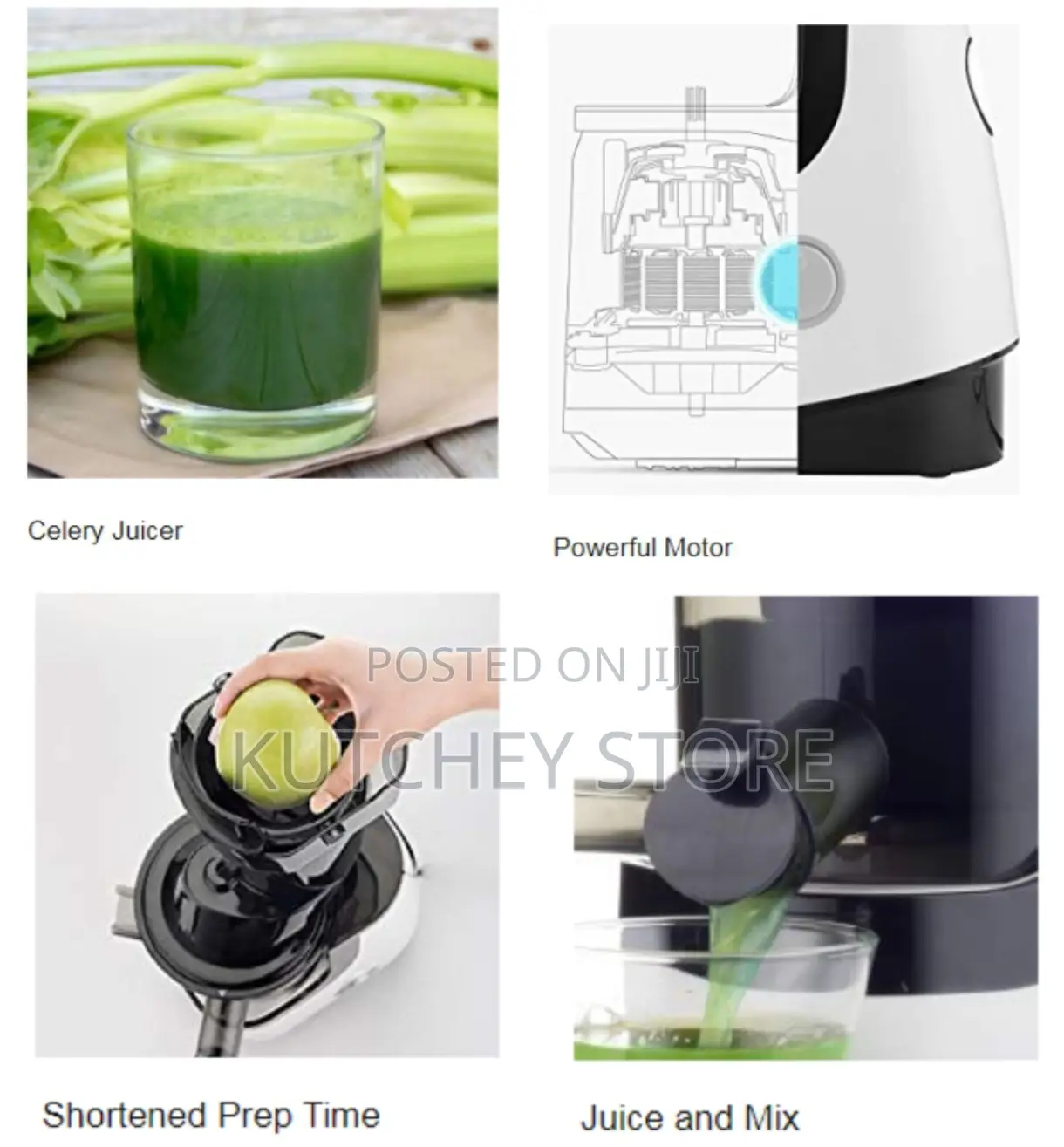 Raylux Cold-Press Slow-Masticating Juicer With Ac Motor