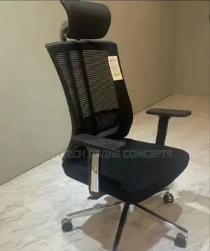 Executive Office Net Chair