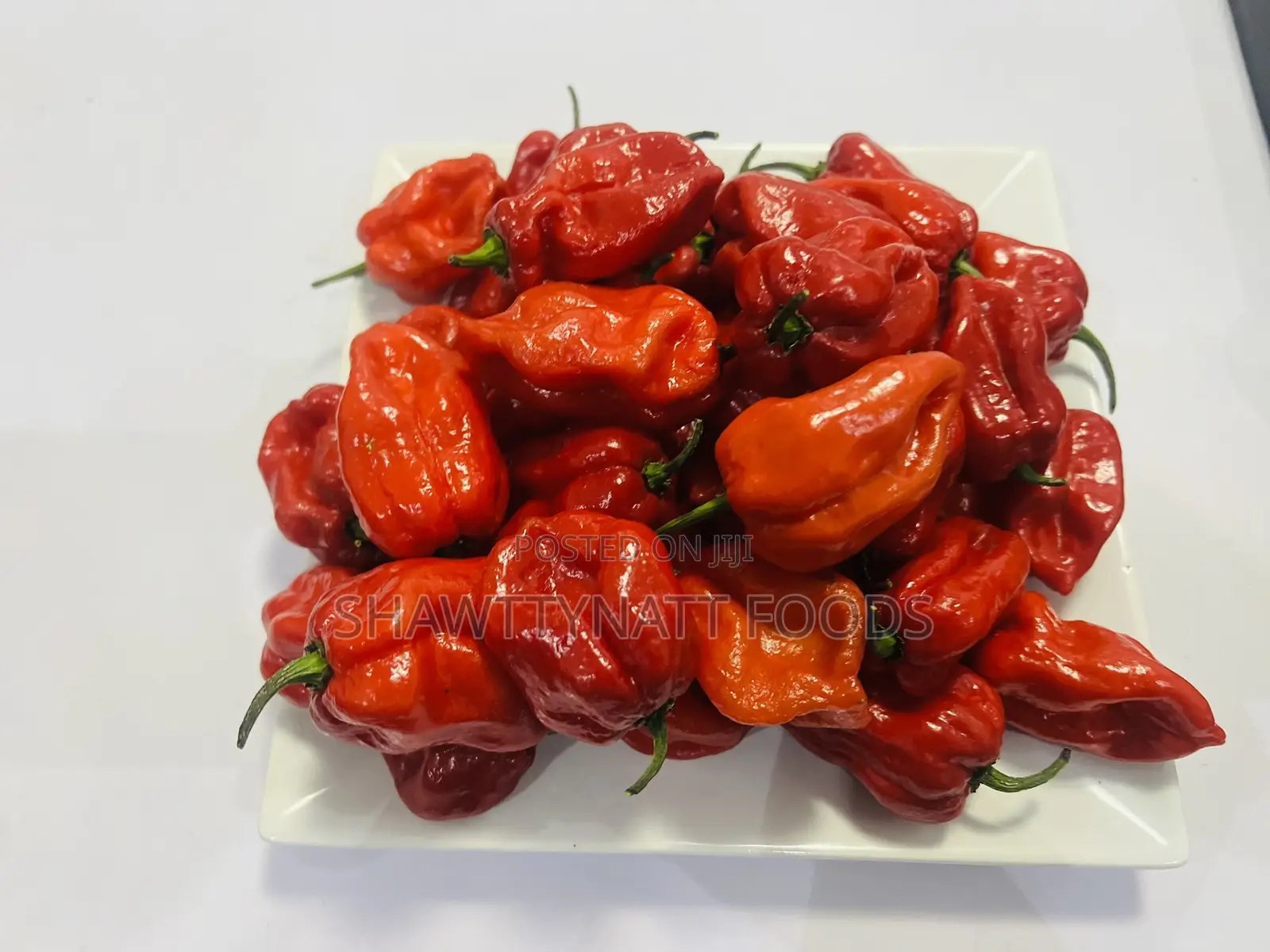 Super Habanero Pepper