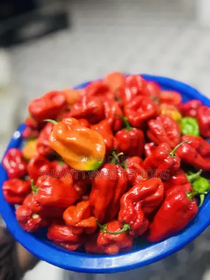 Super Habanero Pepper