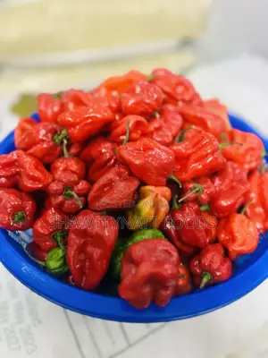 Super Habanero Pepper