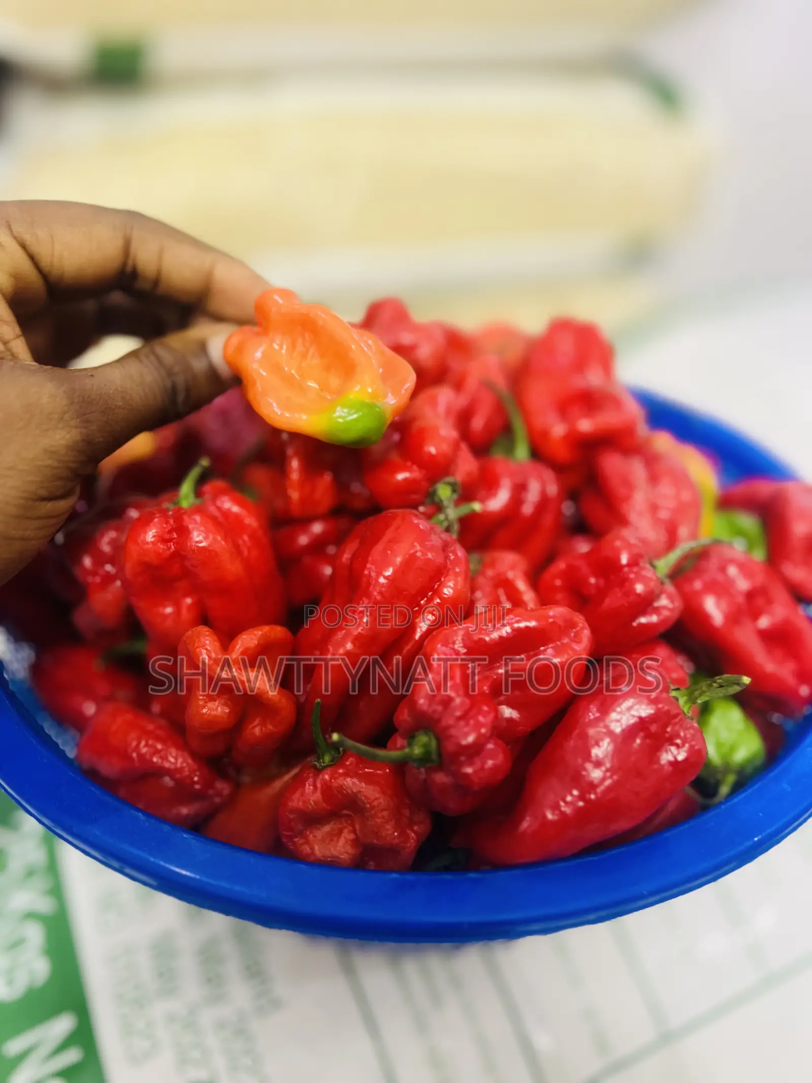 Super Habanero Pepper