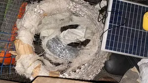 Galvanized Razor Wire / Razor Barbed Wire