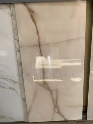 Parlor And Bedroom Floor Tiles