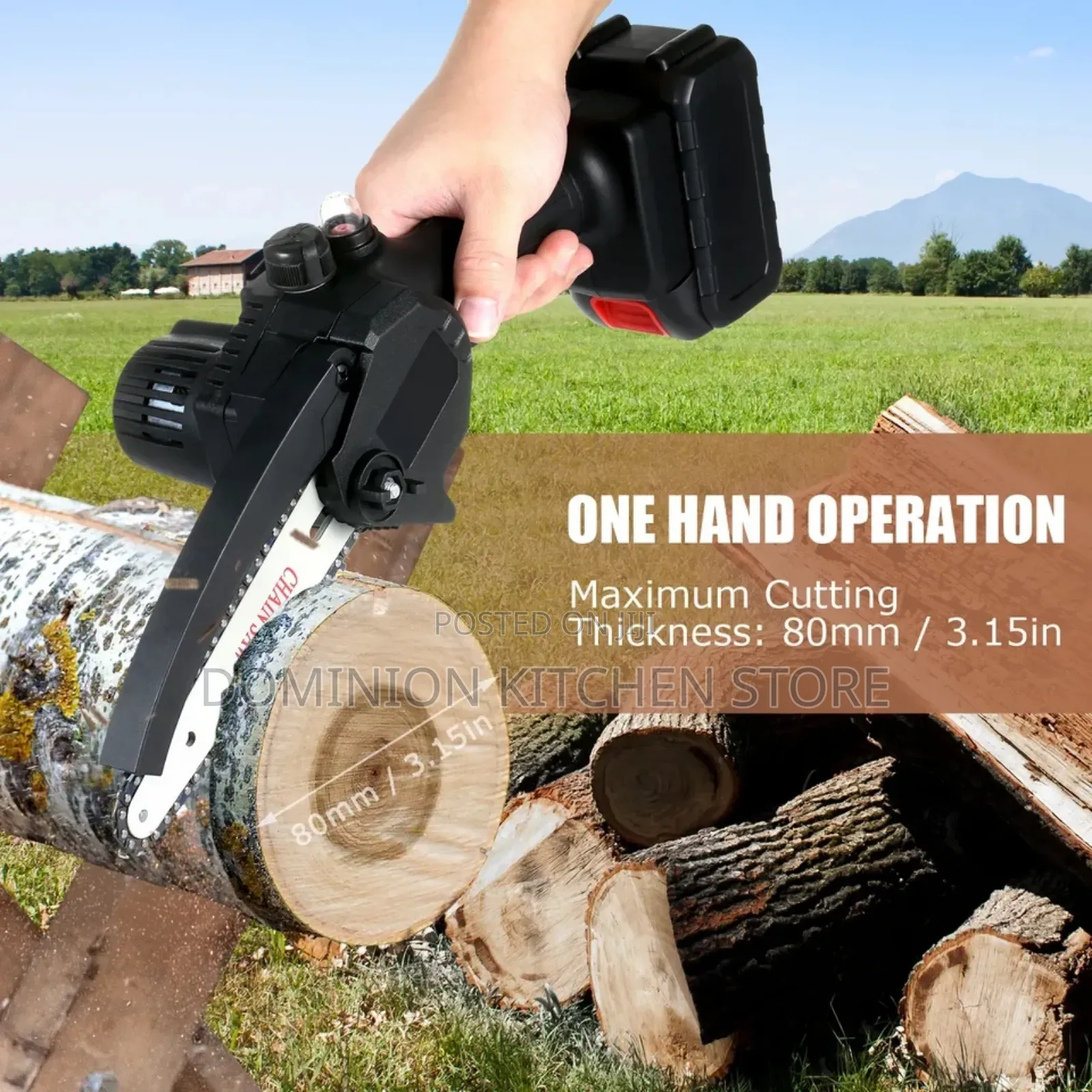 Quality Mini Chainsaw