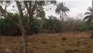 500acres of Mixed Commercial Land at Wasimi