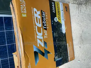 Zicer Solar Tall Tubolar Battery