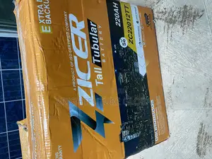 Zicer Solar Tall Tubolar Battery