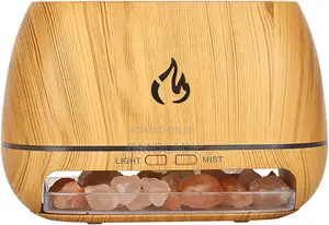 Aroma Diffuser With Himalayan Salt Rock