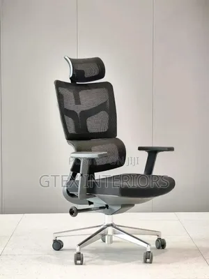 Ergonomic Office Chair
