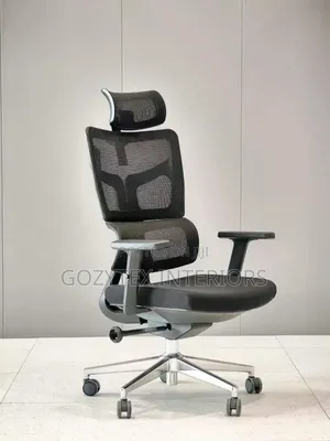 Executive Ergonomic Office Chair