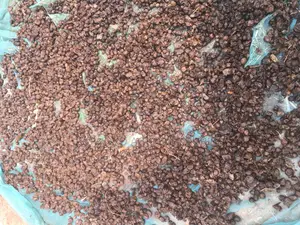 Malina Seeds