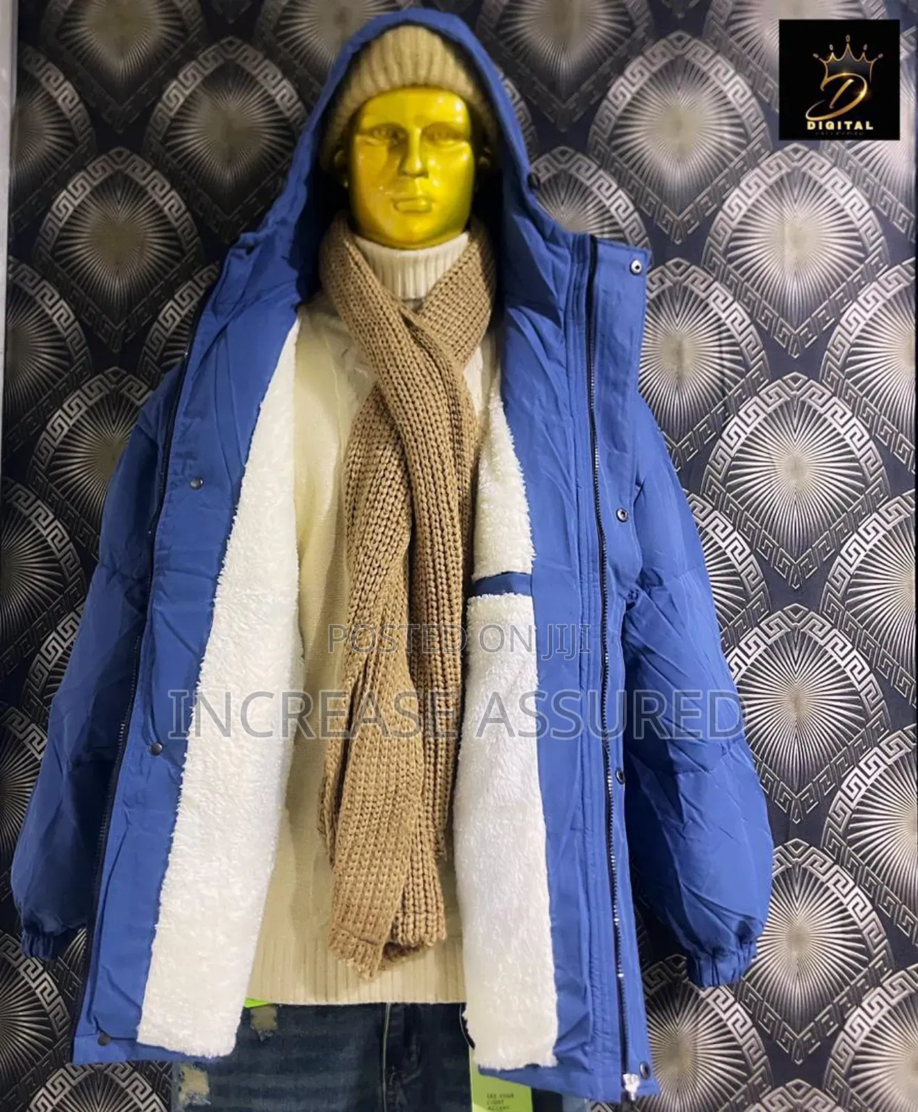 Winter Jacket in Colors