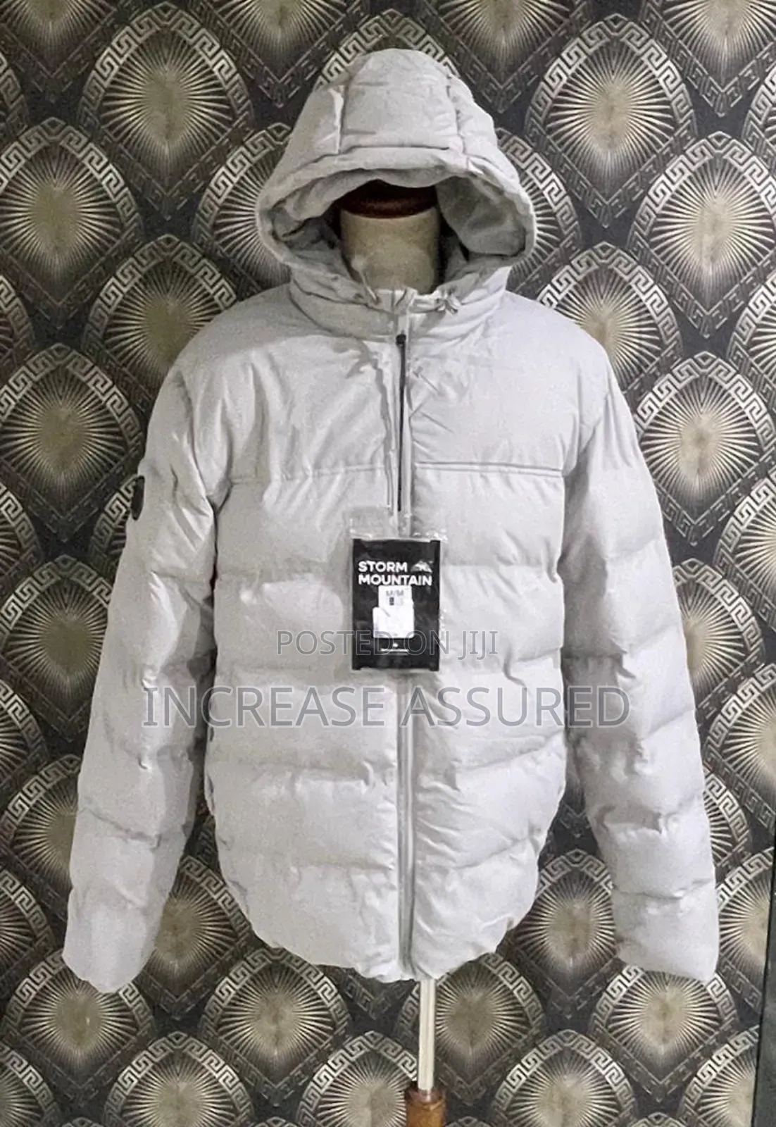 Winter Jacket in Colors