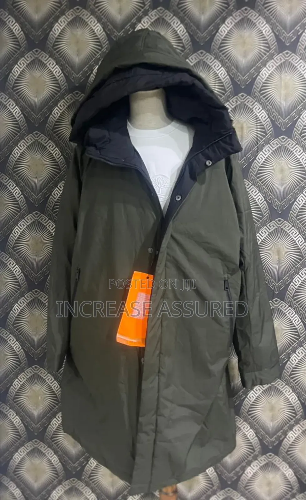 Winter Jacket in Colors