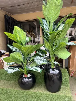 Big Indoor/Outdoor Fibre Vase and Plant Oval Pot