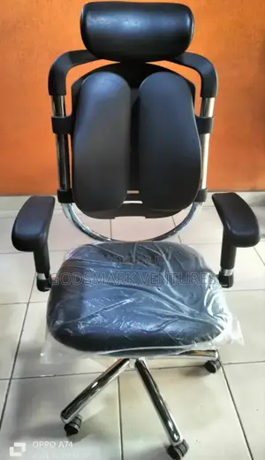 Best Ergonomic Office Chair for Back Pain Relief.