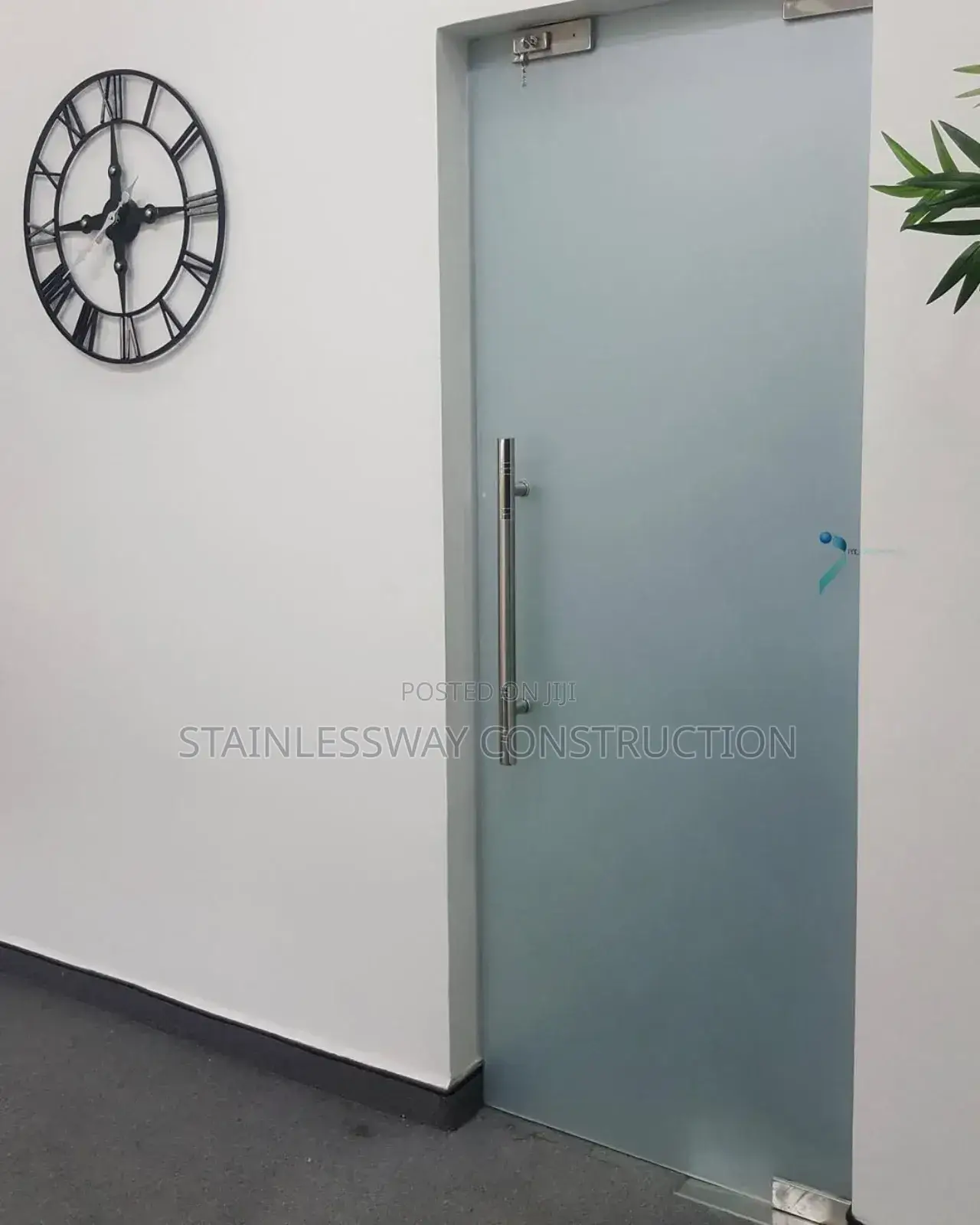 Frosted Swing Door