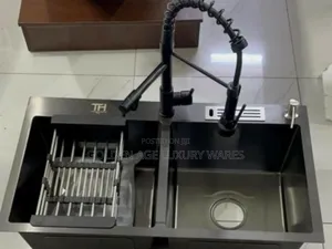 Black Double Bowl Sink