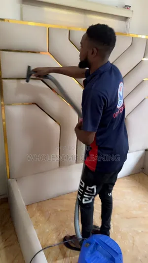 Dm for Your Bed Frame at Wholesome_cleaning_services Today