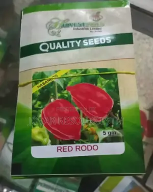 Best Hot Pepper Scotch Bonnet Ata Rodo Habanero Seed Seedlng