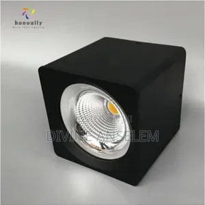 Down Light